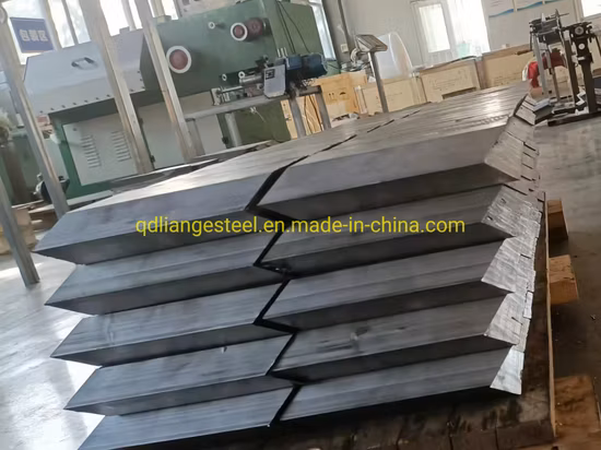 더 저렴한 가격 64V20ah 전기 자전거 세발자전거 리드