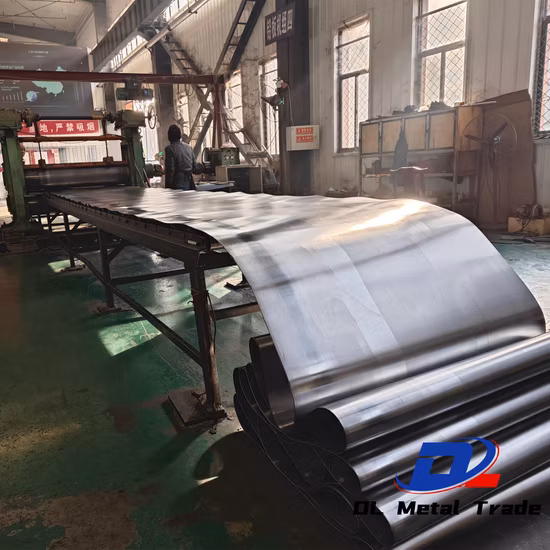 맞춤형 48V38ah 리드